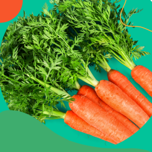 Carrot Production Masterclass: Grow Sweet, Crunchy Roots for Market Success